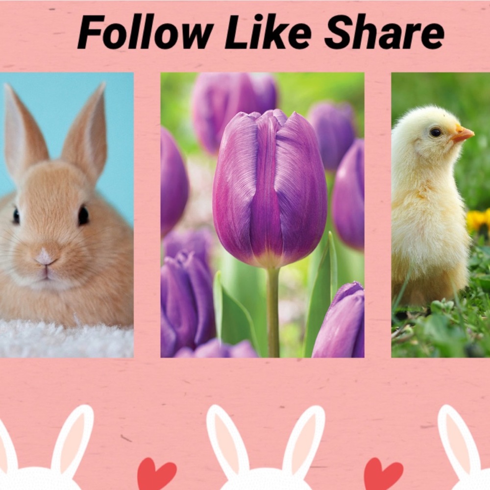 This listing is FULL Follow my new game - Picture 10 of 10